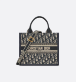 Small Dior Book Tote