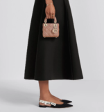 Lady Dior Micro Bag - Image 7