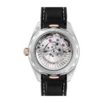 Omega Seamaster Silver Dial Replica - Image 6